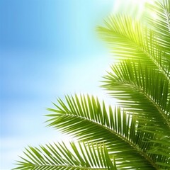 Obraz premium Design element for presentation layout on blurry background with blue sky sunny light. Palm leave closeup realistic