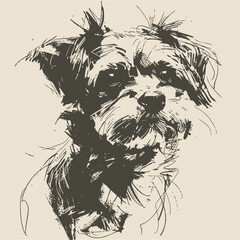 Black and white drawing of Yorkshire Terrier isolated on white background. Illustration of a Lap Dog. Cute puppy. Hand drawn illustration vector