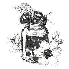 Hand drawn illustration of a honey bee illustration vector