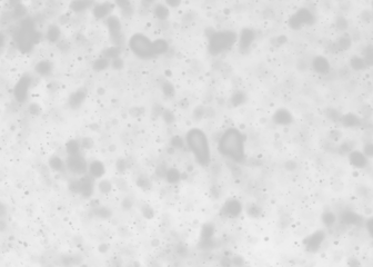 Falling snow isolated on transparent background. Heavy light snowfall, snowflakes Snow flakes, snow background