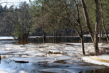 chunks of ice floating in the river on a sunny spring day