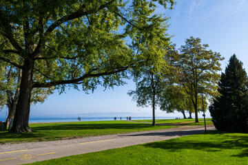 Harbour Park in the Village of Romanshorn on the Lake of Constanze in the Kanton of Thurgau, Switzerland