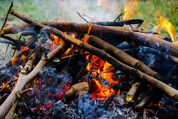 A collage of fiery scenes from the forest, garden, and woods, featuring flames, heat, and burning wood in shades of orange, red, and yellow, with smoke billowing amidst the natural bac