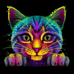 Abstract, multicolored portrait of a smooth-haired cat in watercolor style on a black background.  - 750745849