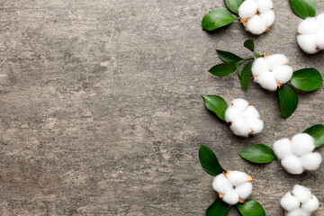 Autumn Floral Flat lay background composition. Dried white fluffy cotton flower branchwith green leaf top view on colored table with copy space