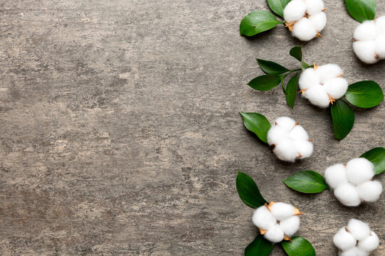 Autumn Floral Flat lay background composition. Dried white fluffy cotton flower branchwith green leaf top view on colored table with copy space