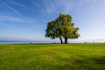 Harbour Park in the Village of Romanshorn on the Lake of Constanze in the Kanton of Thurgau, Switzerland