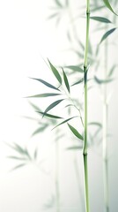 Abstract white green bamboo leaves on soft background