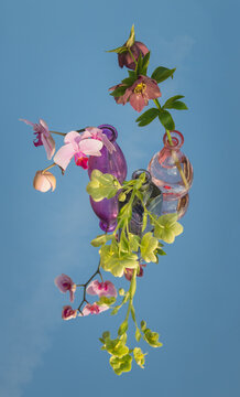 abstract artistic still life of flowers in glass vases on mirror and sky