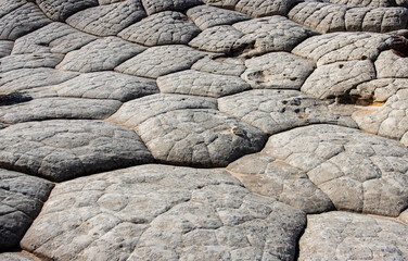 Close Up View Of Pillow Rocks Formation At White Pocket In Arizona