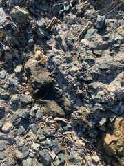 Natural grey gravel texture background