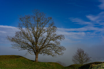 Schlossberg Tettelham im Nebel in Bayern bei Waging am See