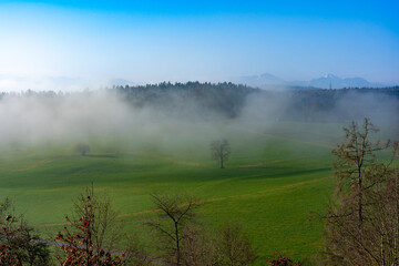 Fototapeta na wymiar Schlossberg Tettelham im Nebel in Bayern bei Waging am See