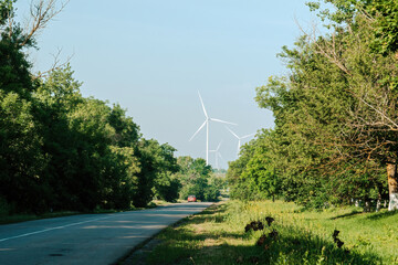 Red car drives on road against farm with arrays of wind turbines with big rotor blades. Production...