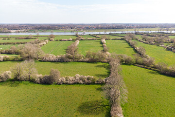 Maas hedges, cultural heritage from above along the river Maas in The Netherlands