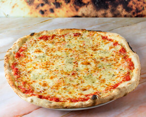 Family Pizza Cooked with Four Cheese Recipe, Oregano and Basile Baked and Ready to Eat