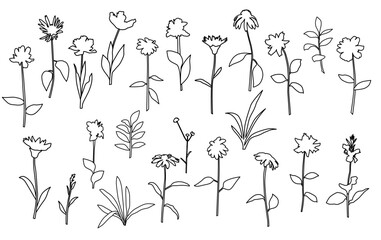 Vector silhouettes of garden and field spring flowers with leaves, flowering plants, twigs, floral designe, linear sketch, hand drawing, black color, isolated on a white background