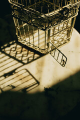 An open cage on a table. A symbol of getting free, liberation, freedom, leaving. - 750757680