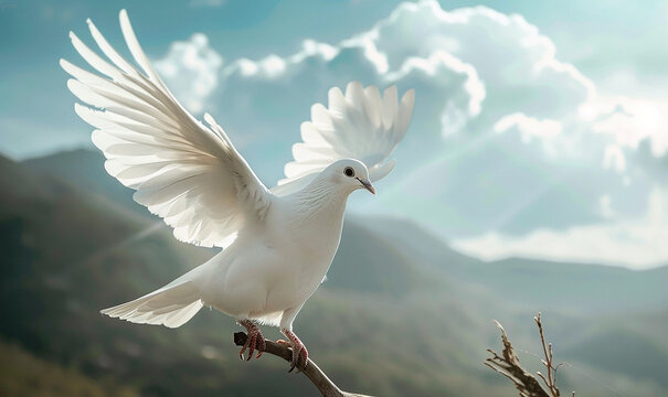 Close-up of a white dove standing and flapping its wings perched on a branch about to fly into the mountain sky.
