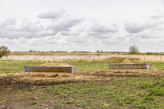 Two feeding troughs filled with hay stand in a field on the island Goeree-Overflakkee in southwest of The Netherlands.