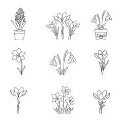 Spring flower set, flowers clipart, floral, line flowers, Crocus, Snowdrops, Narcissus, Hyacinth, Daffodils, hand drawn illustrations, plants, outline icons, line art, spring collection, Easter