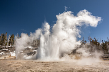 Majestic geyser erupting under a clear blue sky in Yellowstone