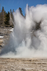 Majestic geyser erupting under a clear blue sky in Yellowstone