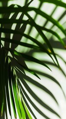 Close-up of Palm Leaf on White Background. Generative AI.