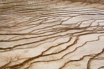 Intricate pattern of thermal area in Grand Prismatic Spring Overlook in Yellowstone