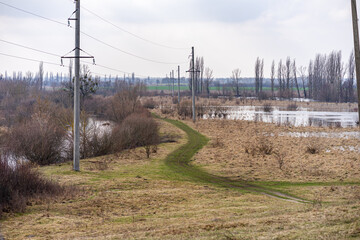 lines in the field
