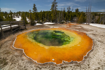 Morning Glory pool with stunning green and orange hues in Yellowstone