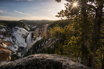 Sunstar through trees in the lower falls of the yellowstone national park