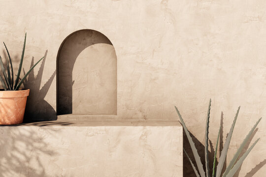 Empty texture stucco wall with shade and aloe clay pot. Summer background with traditional home exterior. Architecture design with neutral rustic aesthetic.