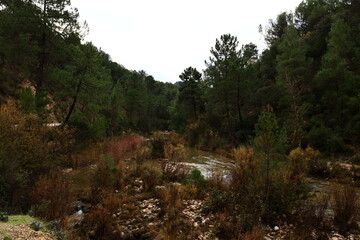 Sierra Nevada National Park is a national park located in the Sierra Nevada within the provinces of Granada and Almería in Andalusia, Spain