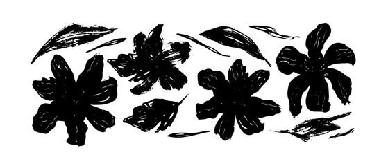 Set with modern abstract flowers chamomile. Collection, hand drawn vector botanical flowers.  Black  ink illustration with floral motif.