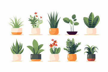 Collection of decorative houseplants and succulents isolated on white background. Trendy plants growing in pots or planters. Flat colorful vector illustration.