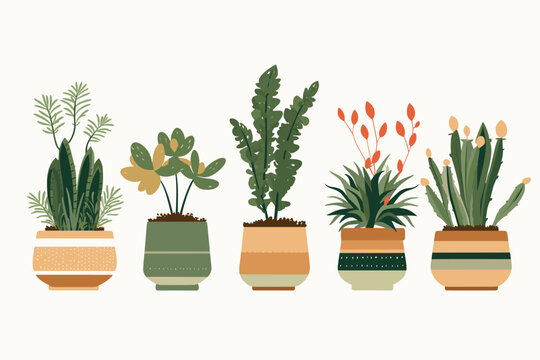 Collection of decorative houseplants and succulents isolated on white background. Trendy plants growing in pots or planters. Flat colorful vector illustration.