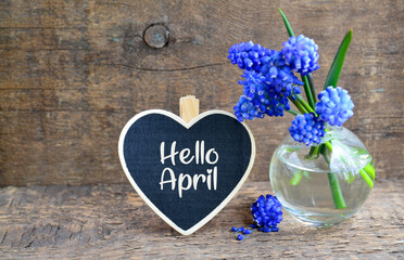 Hello April greeting card with blue spring Muscari flowers in a glass vase and decorative heart on old wooden background.Selective focus.
