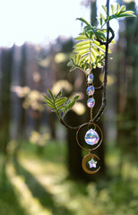 crystal sun catcher hanging on tree in forest, abstract natural background. Magic Witchcraft...