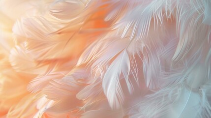 Pink feathers background