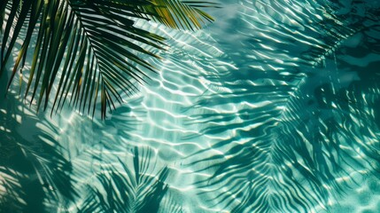 The shadow of palm leaves is cast on the waters surface, creating a beautiful pattern.  top view, mockup, copy space