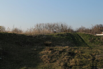 A grassy hill with trees