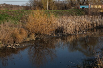 A pond with grass and a fence