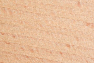 Contemporary Beech Wood Texture. Clean and sleek, suitable for modern design aesthetics.