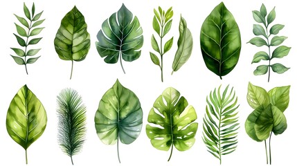 Set of Watercolor Tropical spring green leaves - obrazy, fototapety, plakaty