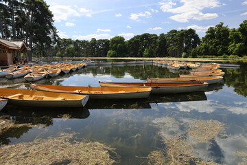 rental boats for family and leisure time in the Bois De Boulogne , France