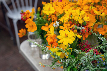 A vase filled with the mindful beauty of Cosmos Sunny Delight flowers, their bright orange blooms radiating warmth and cheer.