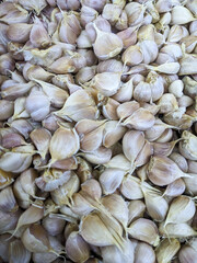 fresh garlic in the market, food background. Piles of garlic have a pungent odor and are one of the spices in cooking