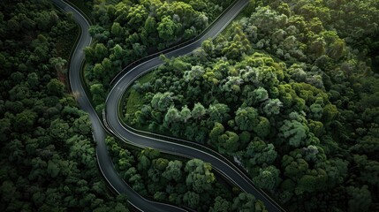 Winding road through a lush forest: Aerial view of a scenic route encapsulating the essence of exploration and the beauty of nature - AI generated