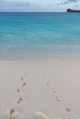 Footprints in white sand beach leading into turquoise blue ocean water. Beach holiday relax theme
